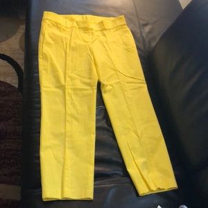 Ann Taylor Carnegie Crop Pant